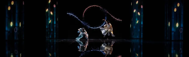 1605687220762078.png 图片.png