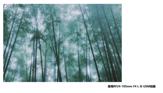1608176334519892.png image.png