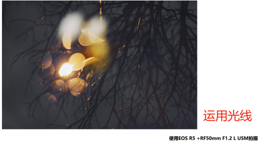 1608176323486116.png image.png