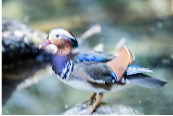 1609213034988407.png image.png