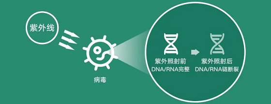 1611646954844713.png 图片5.png