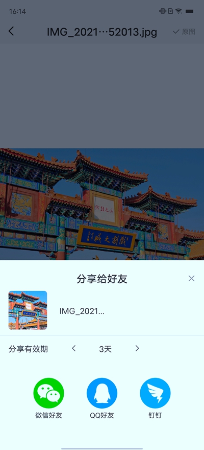 APP (20)