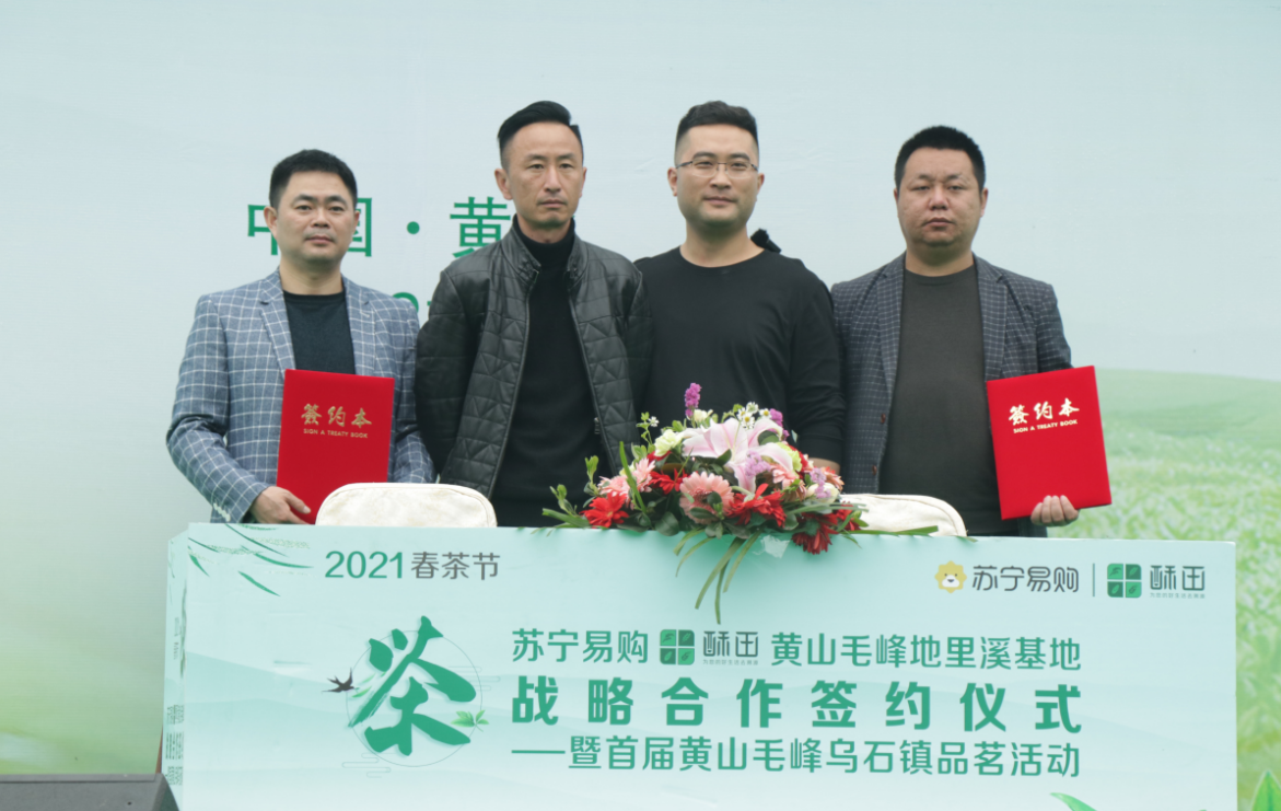纯手工制茶  苏宁宜品“承包”千亩黄山毛峰基地