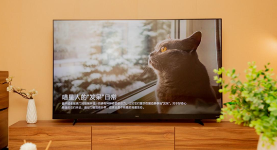昨夜今晨：华为智慧屏V系列新品发布 联想发布拯救者电竞手机2 Pro