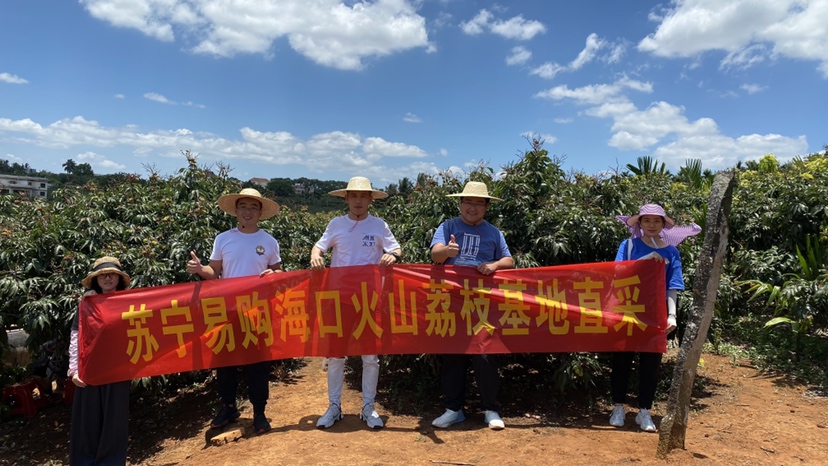 牵手海口农业农村局，苏宁易购助推海口火山荔枝销全国