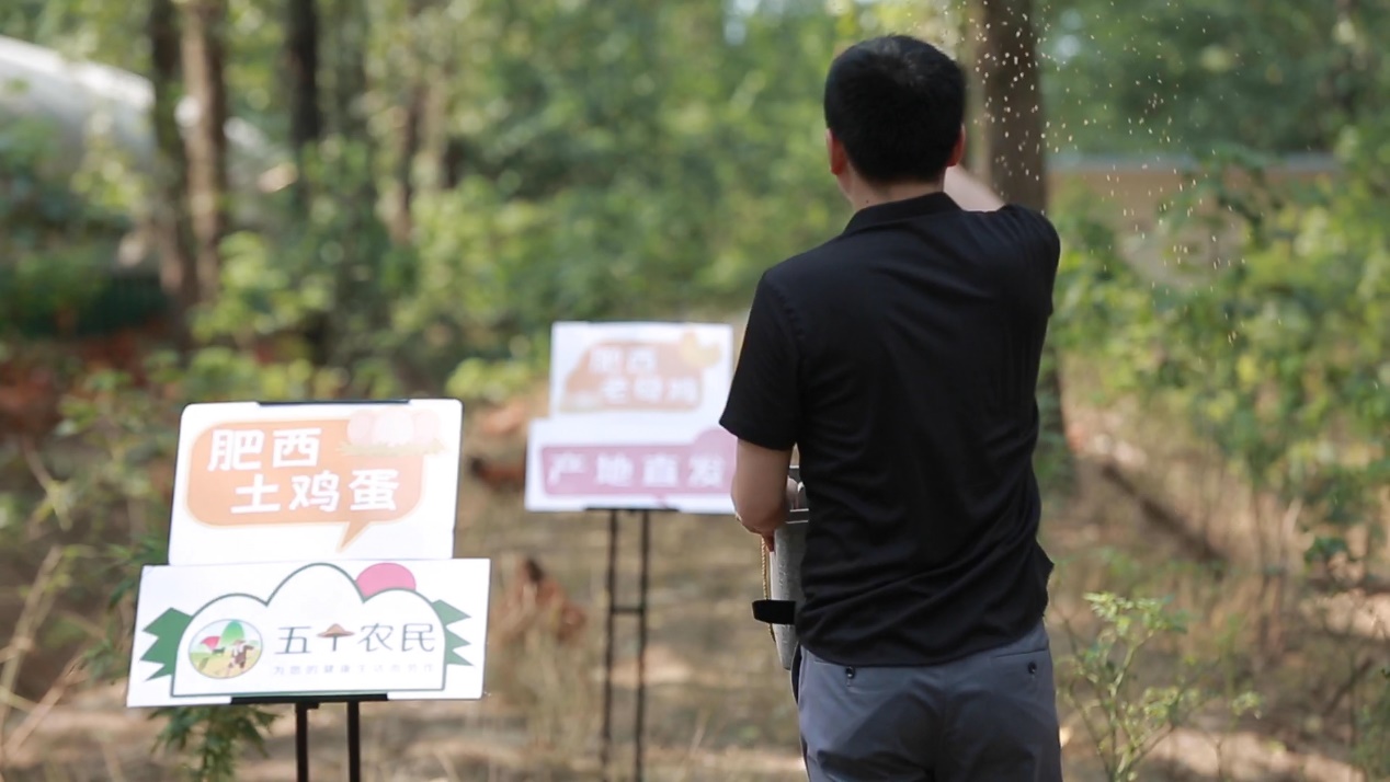 85后回老家创业高科技，五个农民“无人鸡”走红肥西