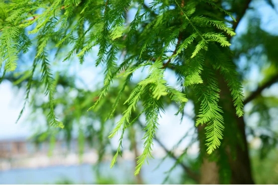 11.webp