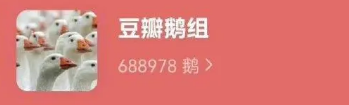 豆瓣部分娱乐小组不限期停用整改