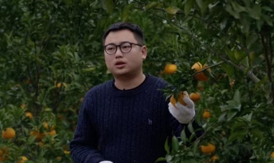 D:\zhangxueguang\Desktop\全部照片\京喜果农.jpg