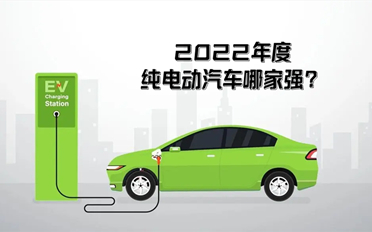 2022年纯电动汽车排行榜
