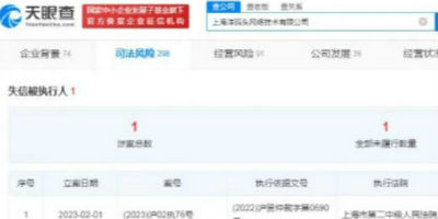 洋码头被列为失信被执行人，被执行总额超634万