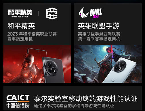 3图片 1.png
