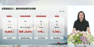 华为2022年年度报告：总营收6423亿，研发费用处于历史高位