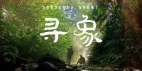 消费电子高端化困于品牌，内容营销能否破局？