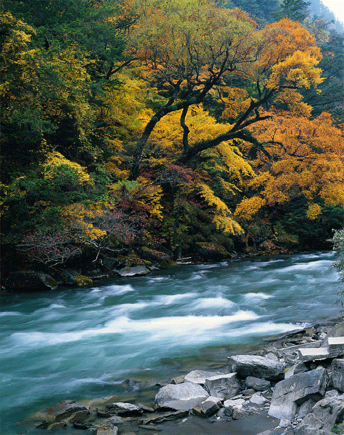 Photoshop教程：静态风景照变动态流水效果(1)