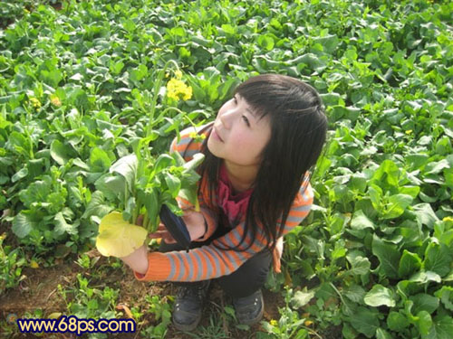 Photoshop调出人物照片偏红暖色调(1)