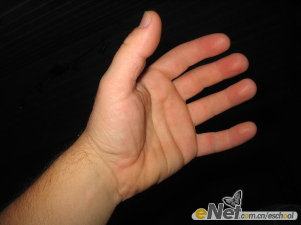 什么样的手掌才健康 124W95D62Z1312W.jpg