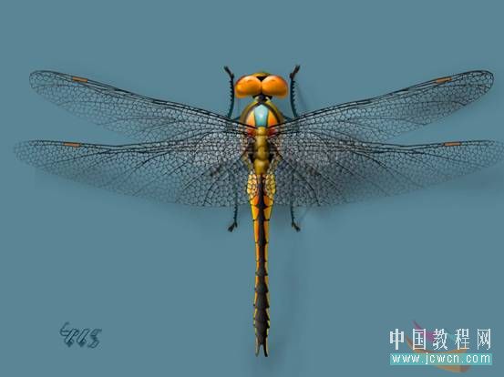 Photoshop入门教程：神奇的画笔－液化工具的应用(1)