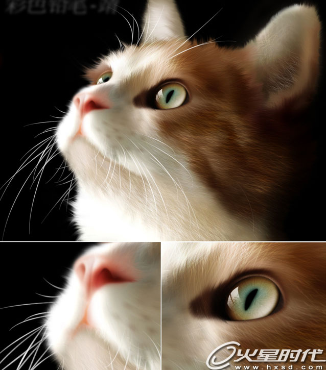 Photoshop鼠绘教程：绘制质感逼真毛绒小猫(1)