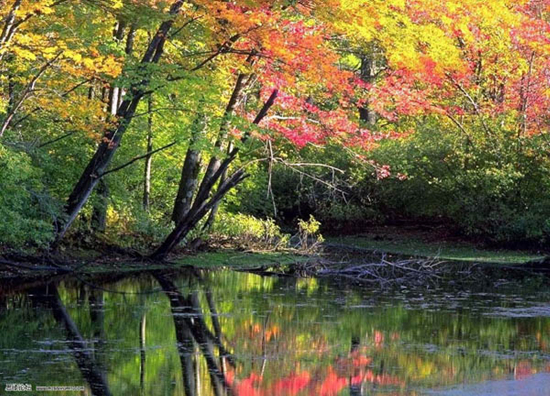 Photoshop打造梦幻紫红色风景图