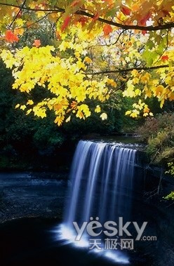 Photoshop制作枫叶飘落的动画风景