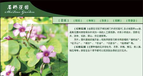 Adobe CS3网站首页设计—第2讲制作首页的内容部分