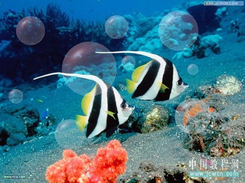 Photoshop初学者教程—制作透明气泡