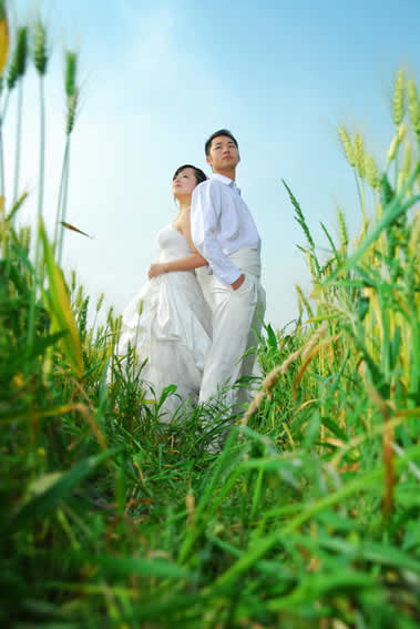 Photoshop调色技巧处理个性色调婚纱照片