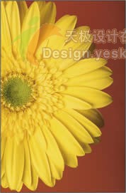 Photoshop CS3 新的抠图魔棒选择工具介绍