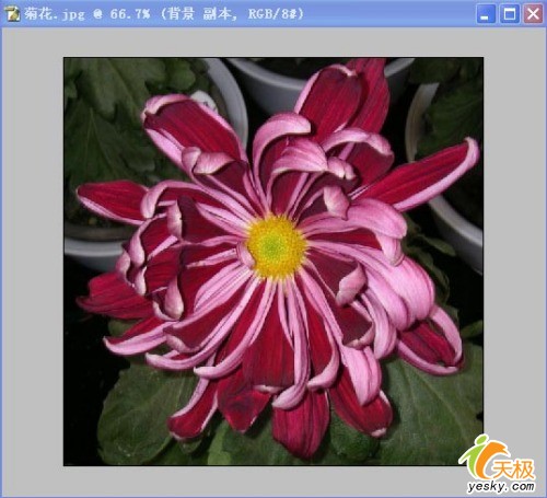 用Photoshop把照片处理成剪纸