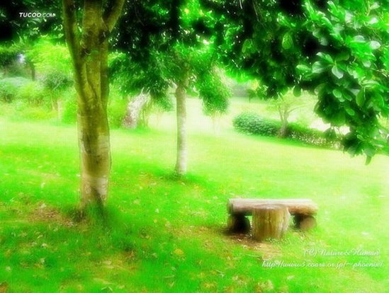 Photoshop打造朦胧鲜艳风景柔光特效