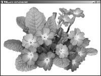 Photoshop将图片处理为作剪纸艺术