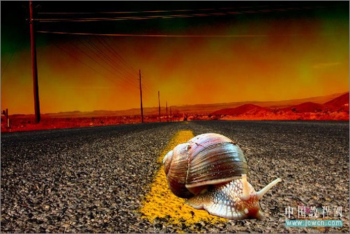 poshop合成教程:打造公路上狂奔的蜗牛