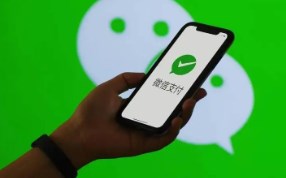 微信团队就高校费率问题发布致歉声明：会持续保持零费率