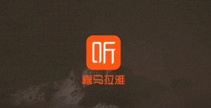 喜马拉雅否认裁员！高级副总裁秦雷确认已离职