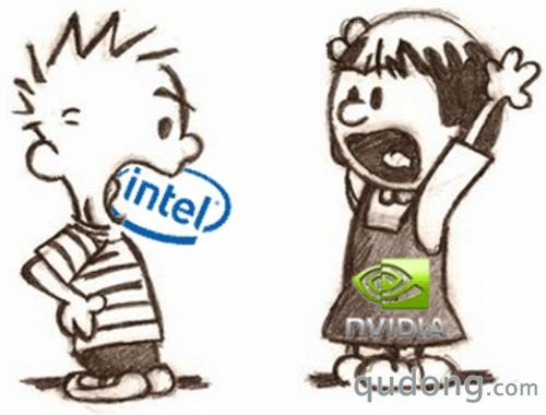 事发有因 NVIDIA第二代ION平台或将有两个版本