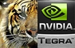 Tegra3很危险：双核A15足以打败四核A9