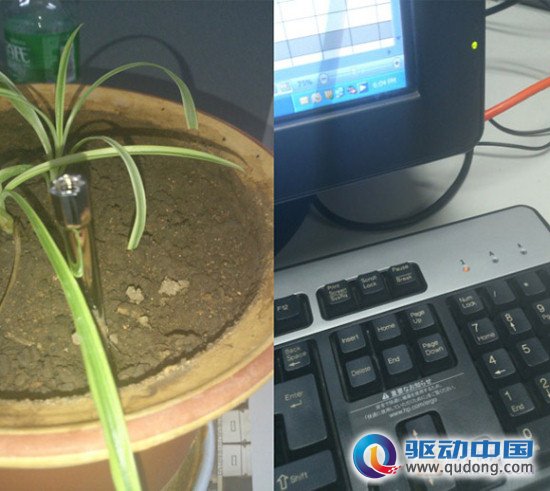 4英寸双核ICS强机 索尼LT29i拍照样张曝光
