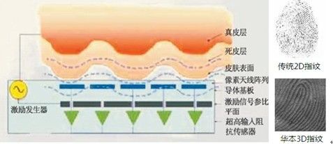 华本指纹考勤机 崛起的中国3D指纹考勤机先驱
