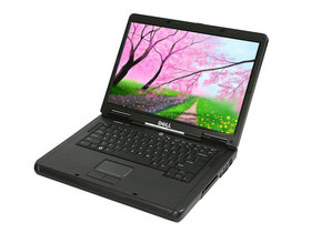 戴尔 Vostro 1000（R520176）