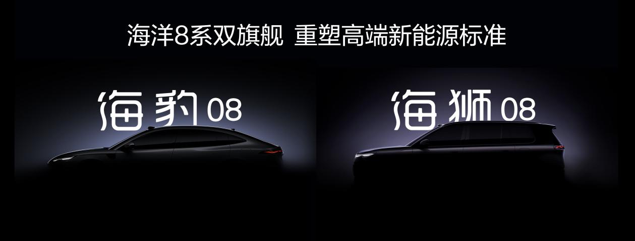 累销超600万辆，达成四个百万成就，海洋8系双旗舰正式定名，海洋网四年硕果累累