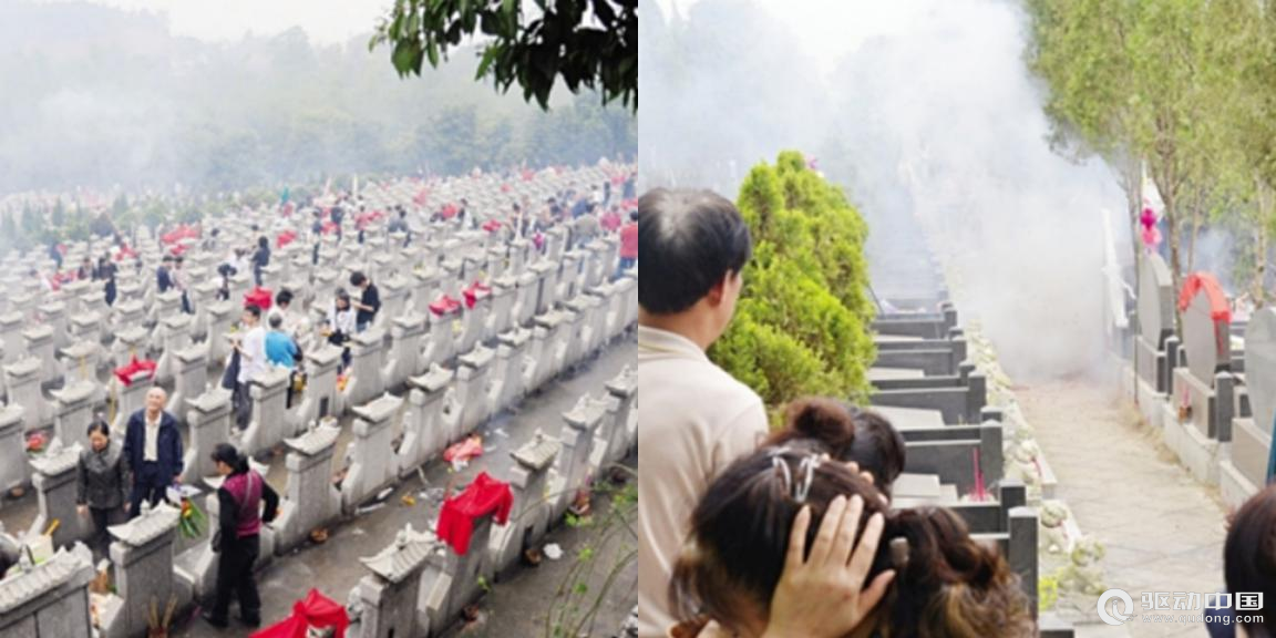 祭祀乱象渐行渐远，绿色祭奠成新主流