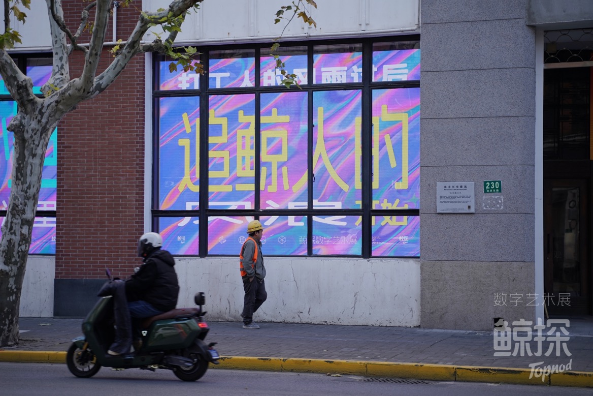 去班味了！一场数字艺术“摸鱼”展在上海举办